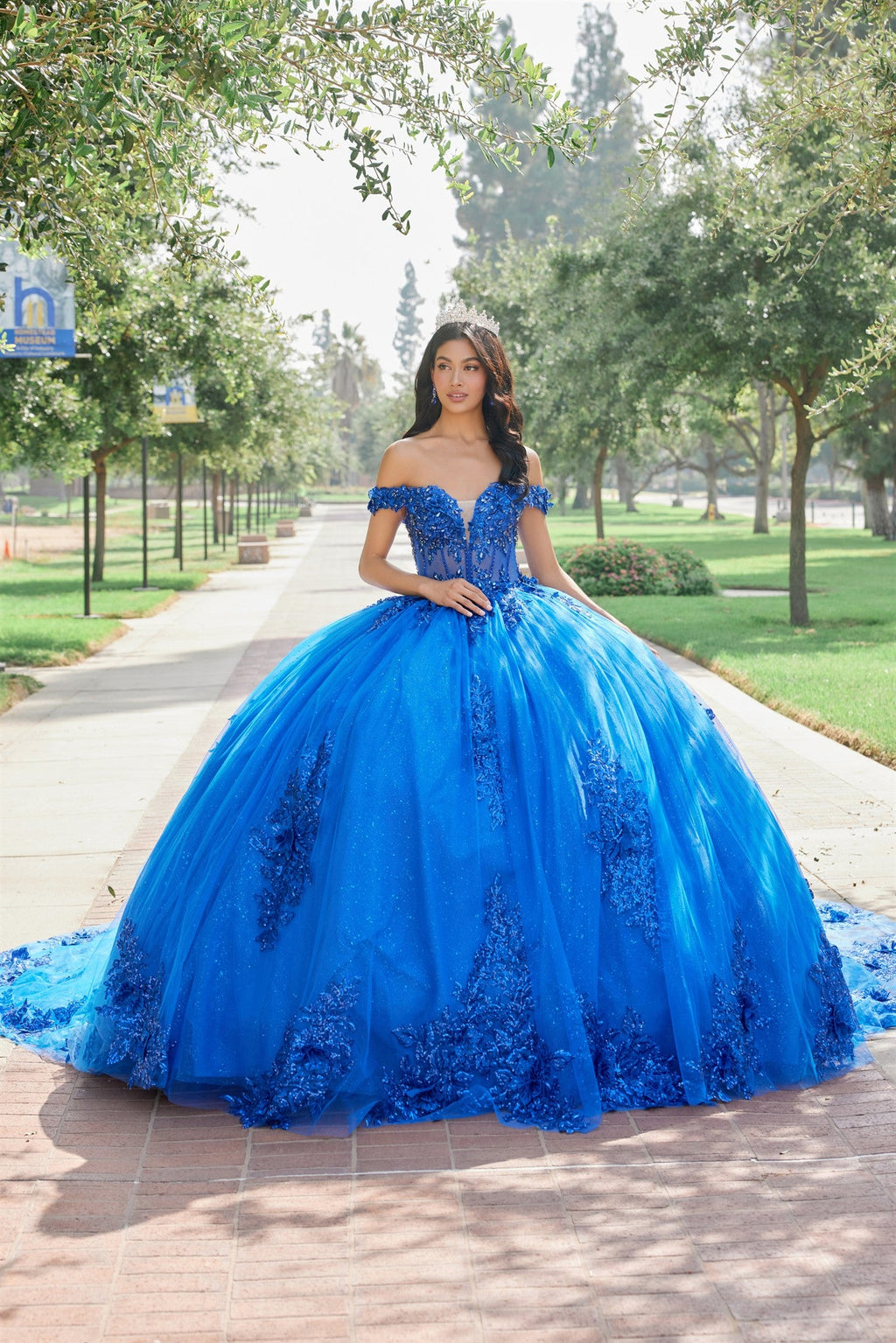 Embroidered Ball Gown with Glitter Tulle Train Quinceañera JTJT1505J