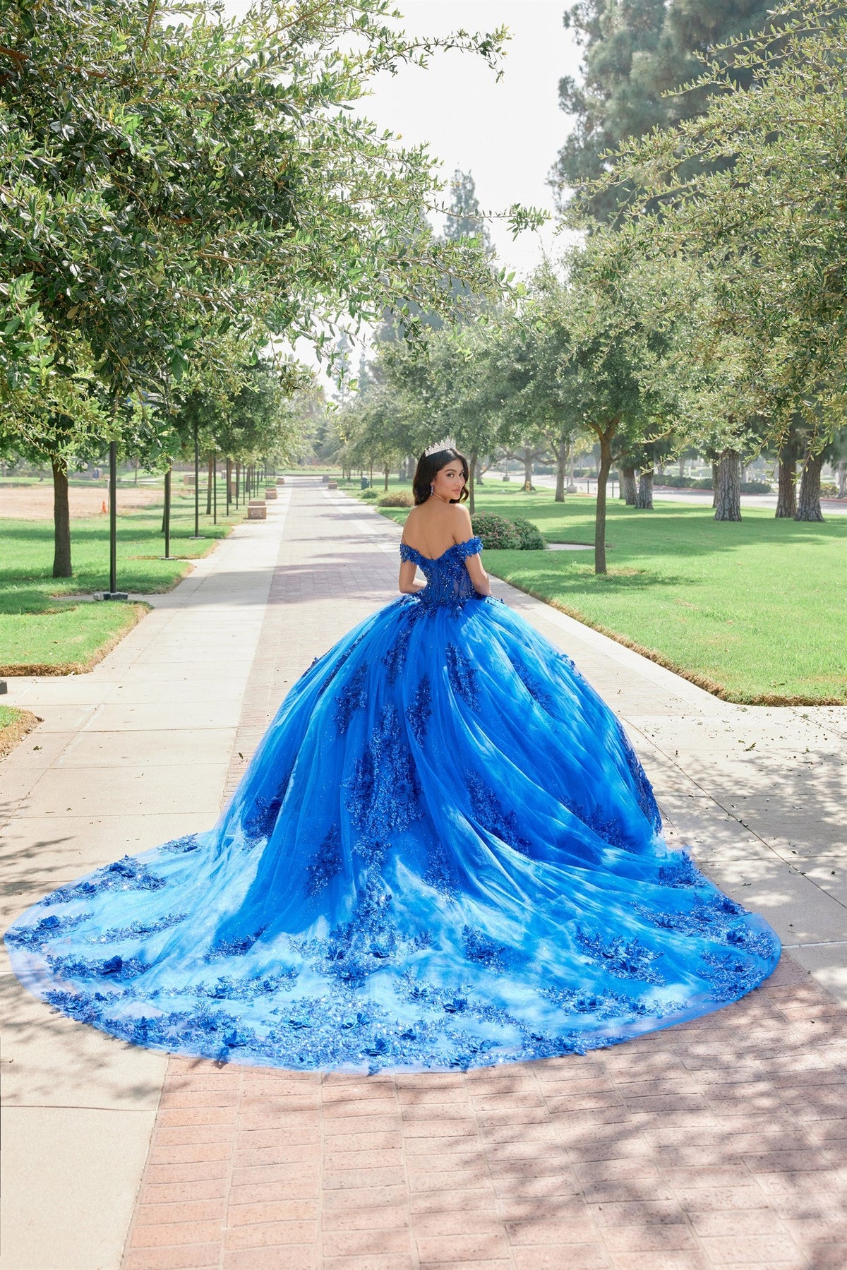 Embroidered Ball Gown with Glitter Tulle Train Quinceañera JTJT1505J