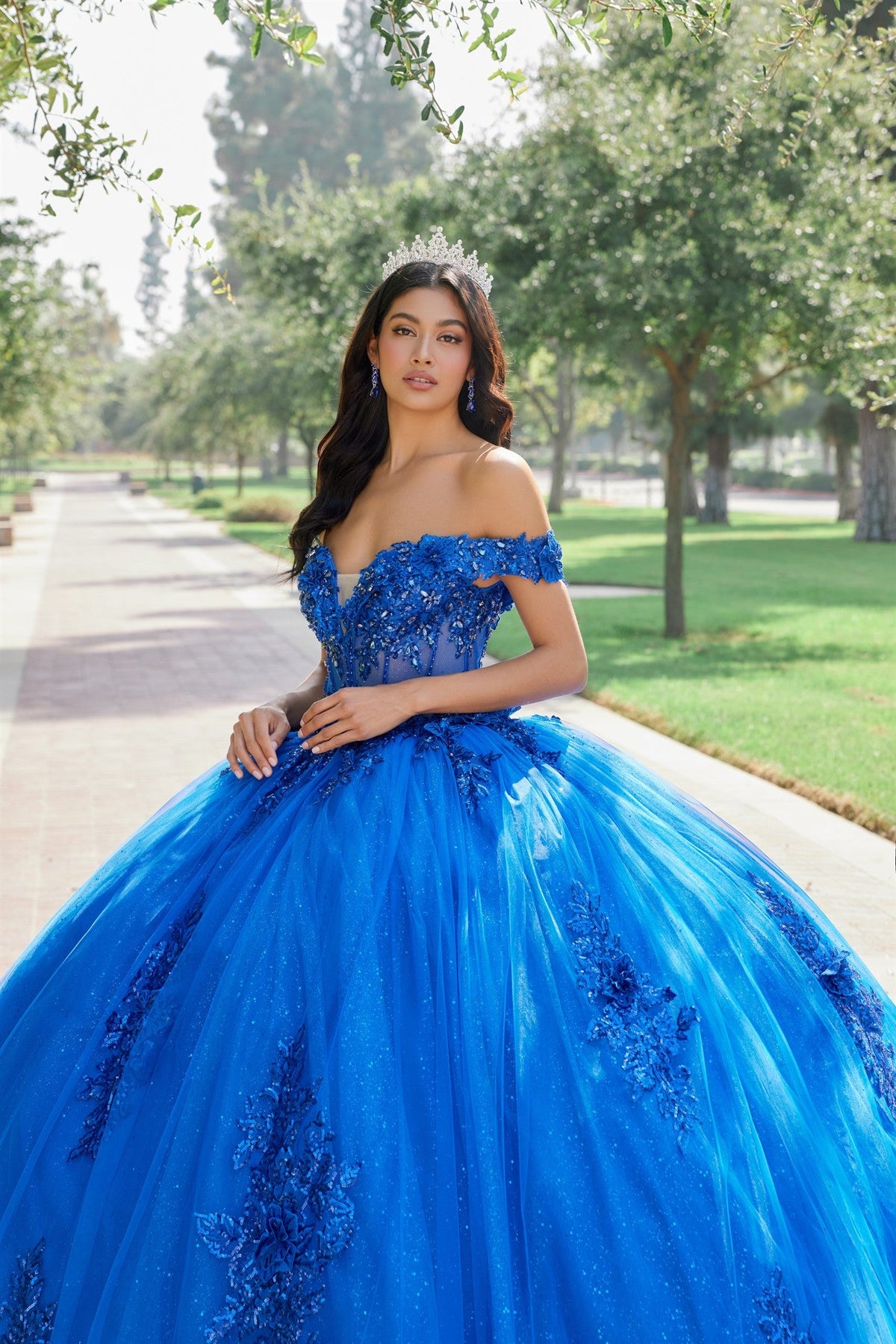 Embroidered Ball Gown with Glitter Tulle Train Quinceañera JTJT1505J