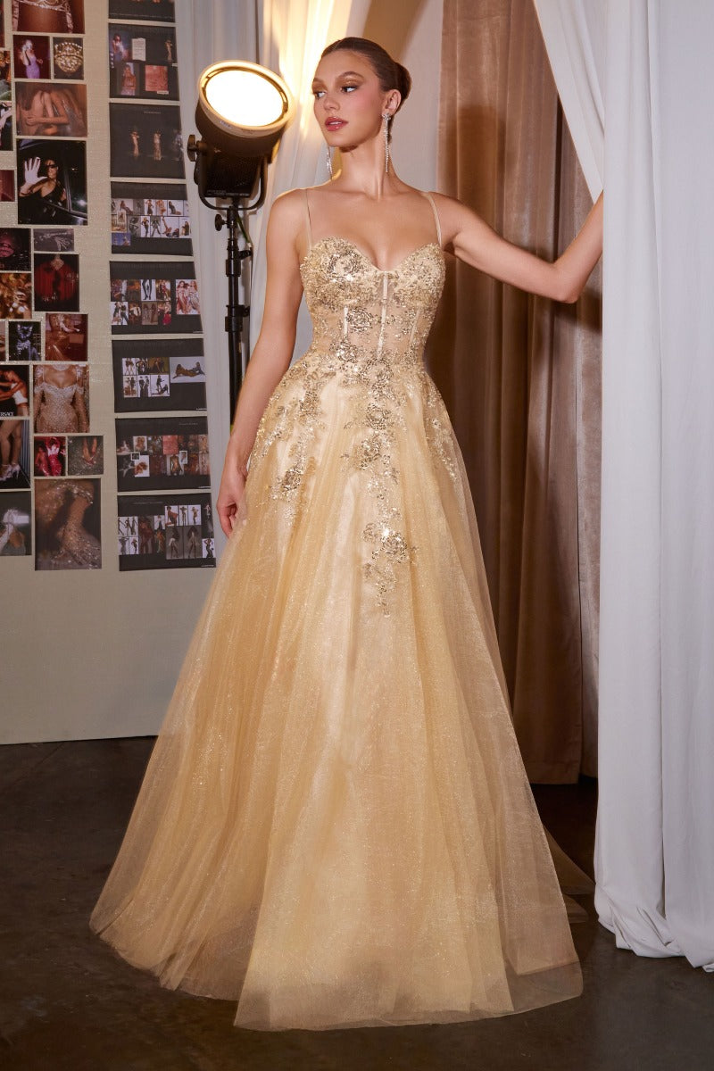 Elegant Embellished Formal Long Special Occasion Gown Detailed CDC177